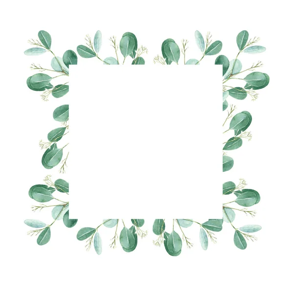 Watercolor Floral Frame Eucalyptus Leaves Seeds Hand Drawn Botanical Illustration — Foto de Stock