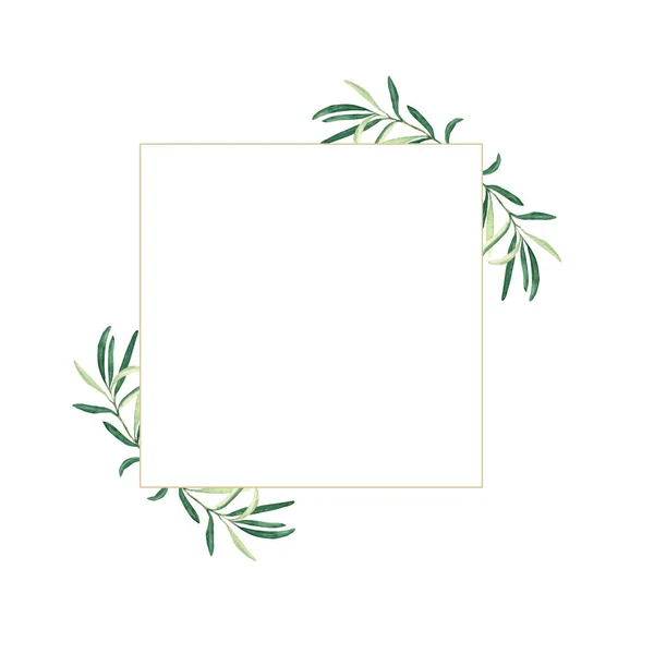 橄榄正方形框架 橄榄枝 手工绘制的水彩画在白色背景上孤立 可用于卡片 标识和食物设计 — 图库照片