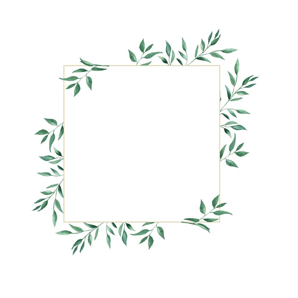 Rustic Foliage Watercolor Square Frame Green Pistachio Branches Hand Drawn — Stock Photo, Image