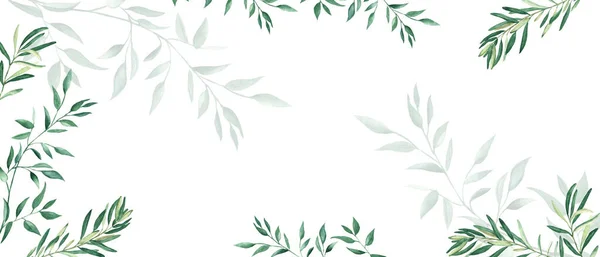 Kırsal yeşillik suluboya afişi. Zeytin ve şam fıstığı dalları. El çizimi botanik çizimi beyaz arka planda izole edilmiş. Çiçek tasarım çerçevesi. Kartlar, düğün davetiyeleri, bebek için kullanılabilir