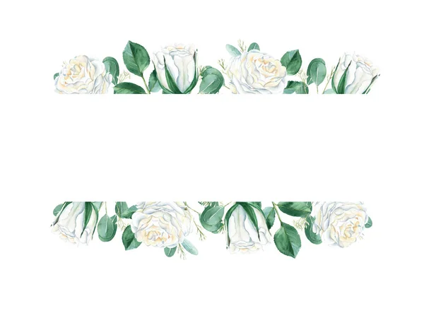 Akwarela Kwiatowy Horisontal Ramka Białe Kremowe Róże Gałęzie Eukaliptusa Odizolowane — Zdjęcie stockowe