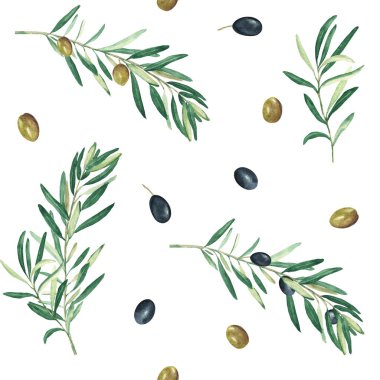 Beyaz arka planda yeşil ve siyah zeytin dalları olan dikişsiz suluboya deseni. Tekstil, duvar kağıdı baskıları, mutfak, yemek ve kozmetik tasarım için kullanılabilir