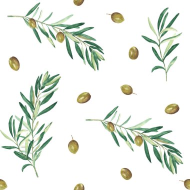 Beyaz arka planda yeşil zeytin dalları olan dikişsiz suluboya deseni. Tekstil, duvar kağıdı baskıları, mutfak, yemek ve kozmetik tasarım için kullanılabilir