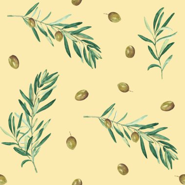 Beyaz arka planda yeşil zeytin dalları olan dikişsiz suluboya deseni. Tekstil, duvar kağıdı baskıları, mutfak, yemek ve kozmetik tasarım için kullanılabilir