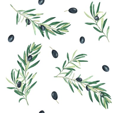 Beyaz arka planda siyah zeytin dalları olan dikişsiz suluboya deseni. Tekstil, duvar kağıdı baskıları, mutfak, yemek ve kozmetik tasarım için kullanılabilir