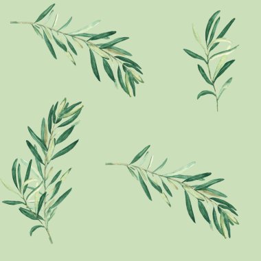 Yeşil arka planda zeytin dalları olan dikişsiz suluboya desen. Tekstil, duvar kağıdı baskıları, mutfak, yemek ve kozmetik tasarım için kullanılabilir