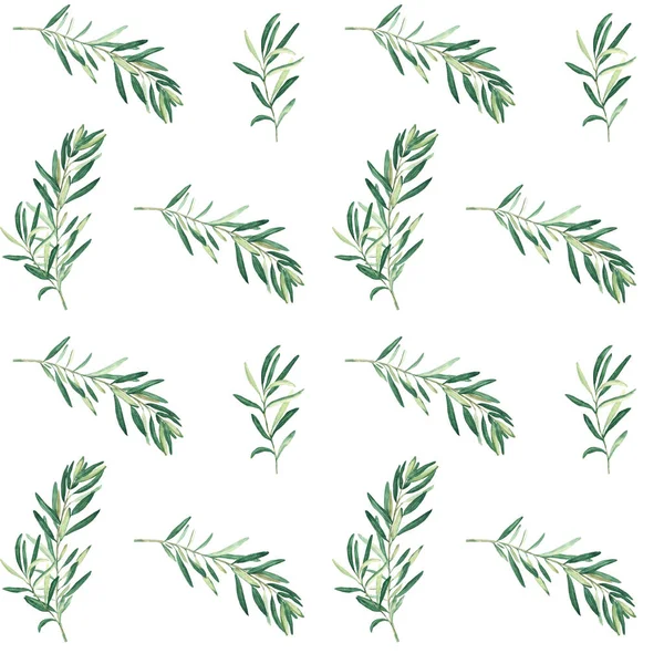 Aquarell Nahtloses Muster Mit Zweigen Schwarzer Oliven Auf Weißem Hintergrund — Stockfoto