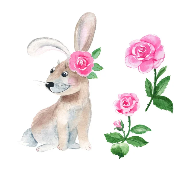 Roztomilý Králíček Růžovou Růží Izolované Bílém Pozadí Akvarel Ručně Kreslené — Stock fotografie