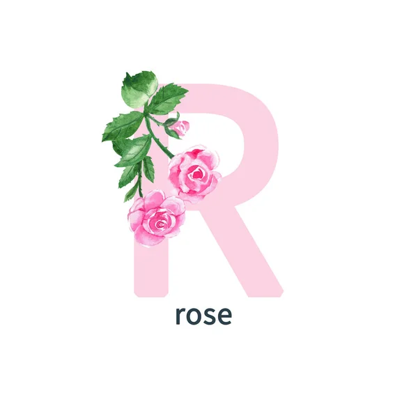 Letter R, rose, flower ABC alphabet. Watercolor illustration isolated on white background. Can be used for alphabet or cards for kids learning English vocabulary and handwriting.