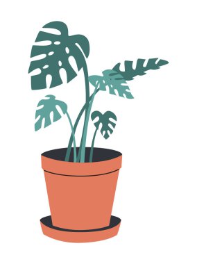 El çizimi, çömlekteki canavarın şirin yaz çizimi. Düz vektör botanik ev bitkisi elementleri basit renkli karalama stilinde. Tropik çiçek ikonu ya da parmak izi. Beyaz arkaplanda izole.