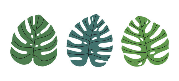 Hand drawn cute summer illustration of monstera leaves set. Flat vector botanical plant elements in simple colored doodle style. Tropical exotic floral icon or print. Isolated on white background.