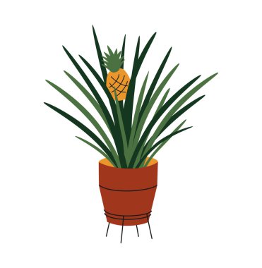 El çizimi, çömlekte ananas ya da ananas yetiştirme üzerine hoş bir yaz çizimi. Basit renkli karalama tarzında düz vektör meyvesi. Tropikal egzotik ev bitkisi ikonu ya da baskısı. Beyaz arkaplanda izole.