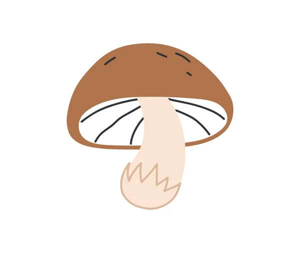 Hand Drawn Cute Contemporary Illustration Porcini Flat Vector Mushroom Fungus — Stock Vector