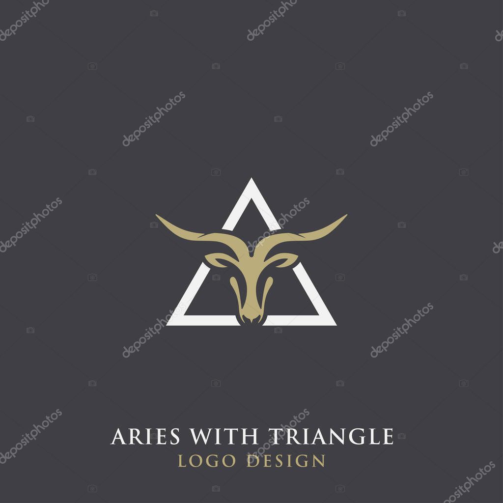 ARIES WITH TRIANGLE LOGO DESIGN