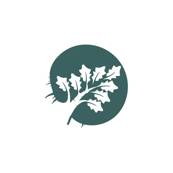 Oak Branch Logo Design Vector —  Vetores de Stock