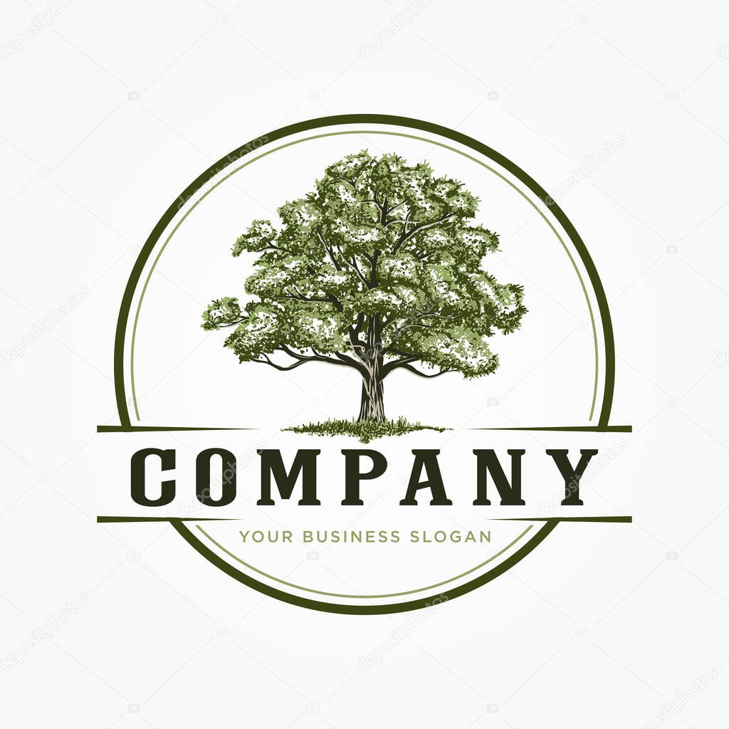 GREEN OAK TREE VINTAGE LOGO DESIGN