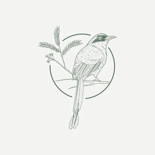 モチーフ鳥と保証ツリー手描きイラスト — ストックベクタ