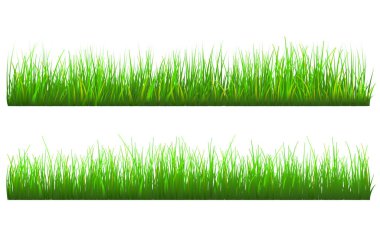 green grass banner. two individual grass element