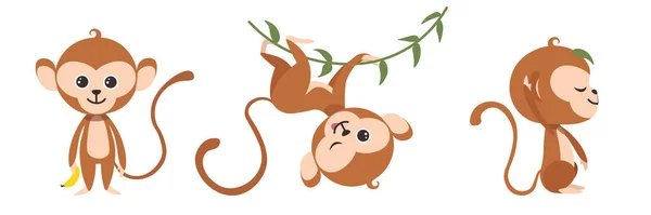 Vector Illustration Cute Beautiful Monkeys White Background Charming Character Different — Stock Vector