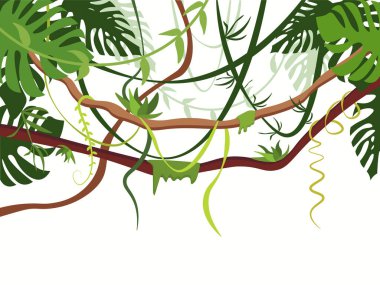 Beyaz arka planda vektör illüstrasyonu yeşil lianalar. Dekoratif tasarım elementleri. Tropikal orman, bitkiler ve ağaçlar çizgi film tarzında.