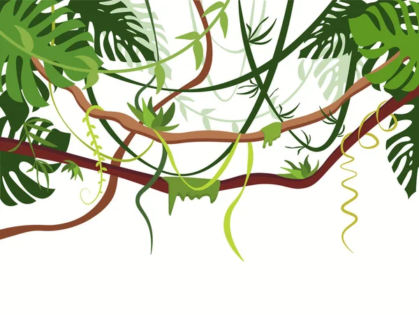 Beyaz arka planda vektör illüstrasyonu yeşil lianalar. Dekoratif tasarım elementleri. Tropikal orman, bitkiler ve ağaçlar çizgi film tarzında.