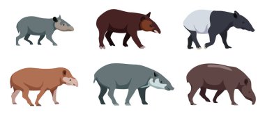 Çizgi film tarzında bir dizi tapir. Beyaz arkaplanda izole edilmiş otçulların vektör illüstrasyonu.
