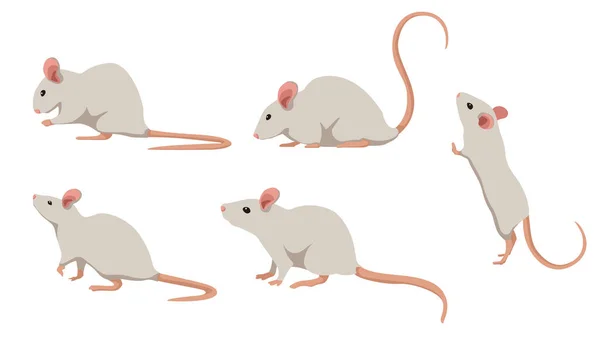 Conjunto Mouse Branco Diferentes Ângulos Emoções Estilo Desenho Animado Ilustração —  Vetores de Stock