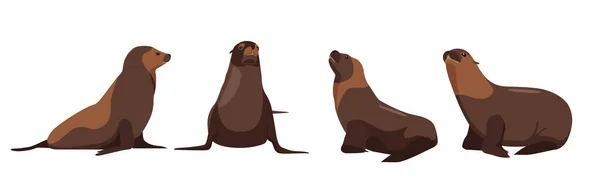 Set Fur Seals Different Angles Emotions Cartoon Style Vector Illustration — Stock Vector