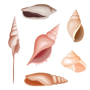 Çizgi film tarzında çok renkli deniz kabukları seti. Değişik şekillerde batan büyüleyici deniz sularının temsilcisi..