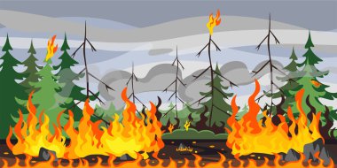 Vector illustration of natural disaster. Cartoon landscape with forest fire that destroyed all vegetation.