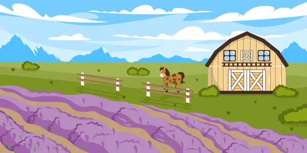Vector Illustration Beautiful Summer Farm Cartoon Landscape Lavender Field Barn — Vettoriale Stock
