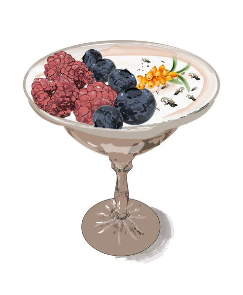 Panna Cotta Dessert Glass Berry Fruits Vector Vintage Retro Colors — Vettoriale Stock