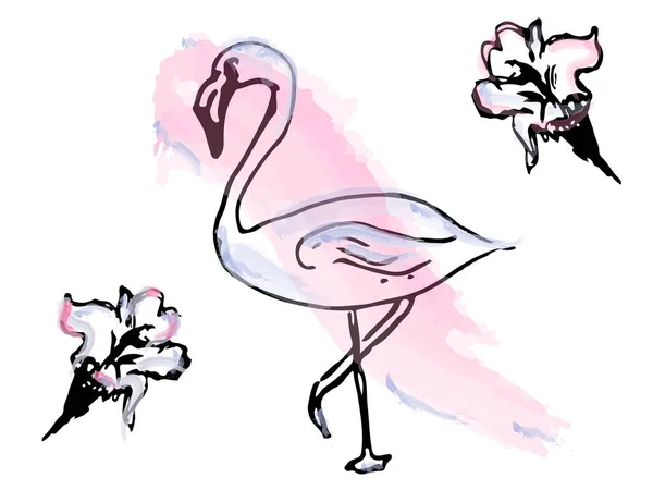 Flamingo Watercolor Line Art Vector Tropical Theme Poster — Stock Vector