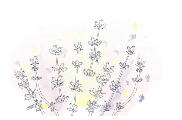Lavender Flowers Vector Watercolor Delicate Buket Bunga Untuk Upacara Kartu - Stok Vektor