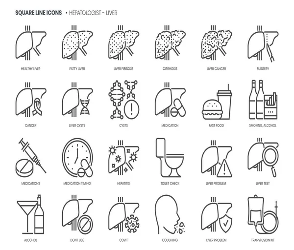 Epatologo Fegato Correlato Pixel Perfetto Ictus Modificabile Set Icone Vettoriali — Vettoriale Stock