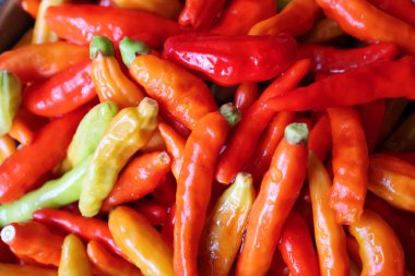 Biber sosu, arnavut biberi, arpacık soğanı, sarımsak, kırmızı biber.