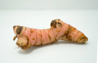 long kuas veya galangal baharat