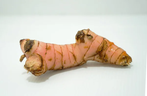 long kuas veya galangal baharat