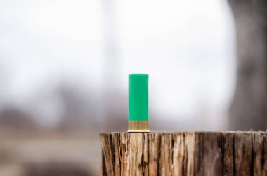 close up view of shotgun shell on wooden stump in woods clipart