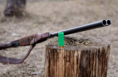 shotgun shell on wooden stump near rifle in woods clipart