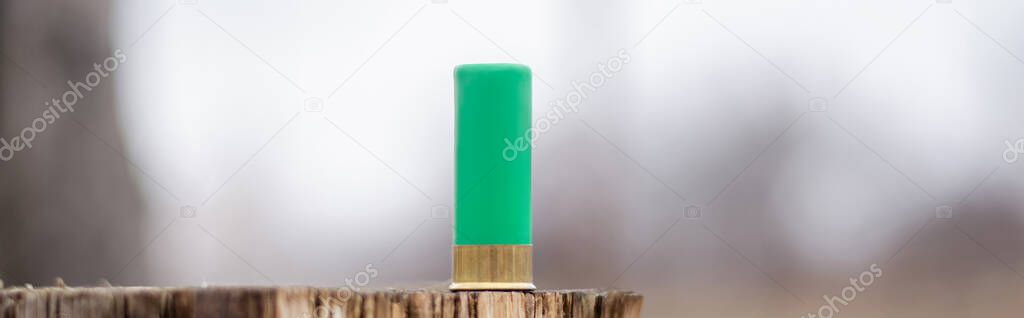close up view of shotgun shell on wooden stump in woods, banner