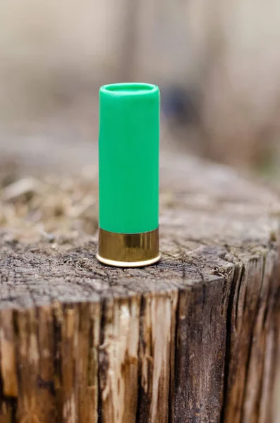 Close up of shotgun shell on wooden stump in woods — Stock Photo
