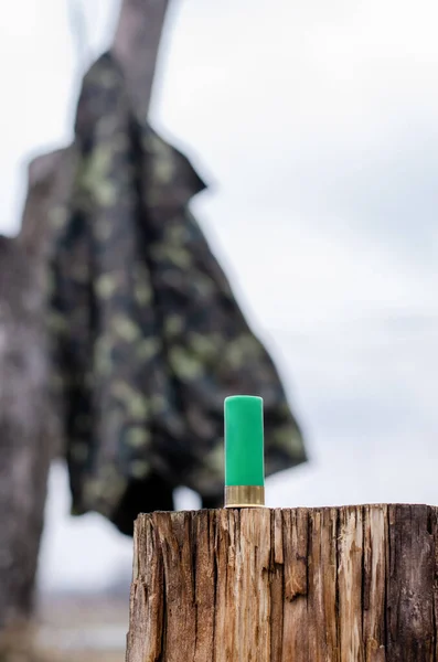 Shotgun cartridge on wooden stump in woods — Stock Photo