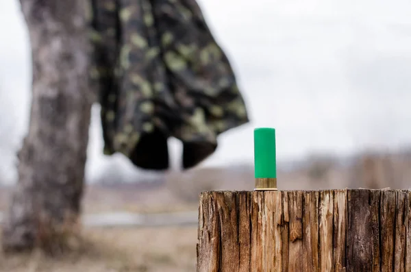 Shotgun cartridge on wooden stump in forest — Stock Photo