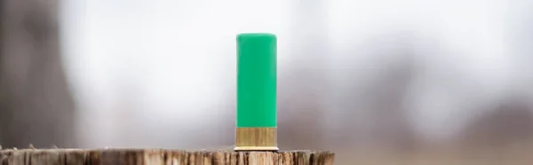 Close up view of shotgun shell on wooden stump in woods, banner — Stock Photo