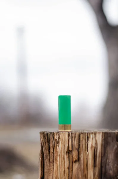 Cartucho de escopeta turquesa en tronco de madera en los bosques - foto de stock