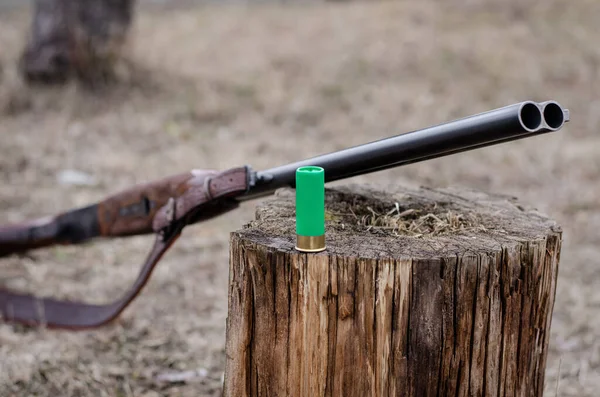 Shotgun shell on wooden stump near rifle in woods — Stock Photo