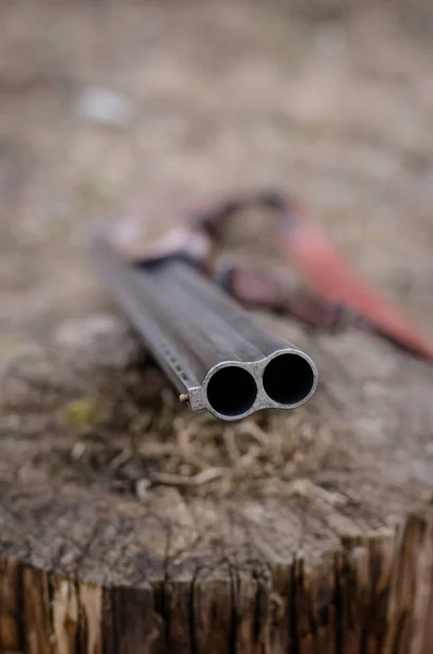 Close up of rifle in woods — Stock Photo