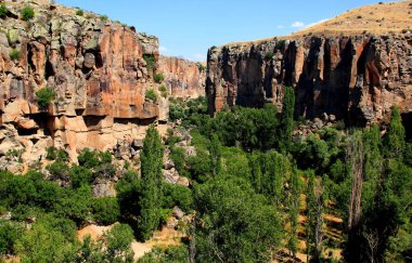 Majestic rocks and green forest in the Ihlara Valley in central Anatolia, Cappadocia, Turkey clipart