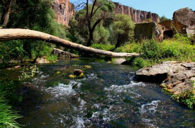 Türkiye 'nin başkenti Kapadokya' daki Ihlara Vadisi 'ndeki kayaların arkasındaki hızlı bir dağ nehri üzerindeki kütük.